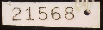 Media type: image; Herpetology A-21568